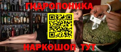 прущие крисы Кимры