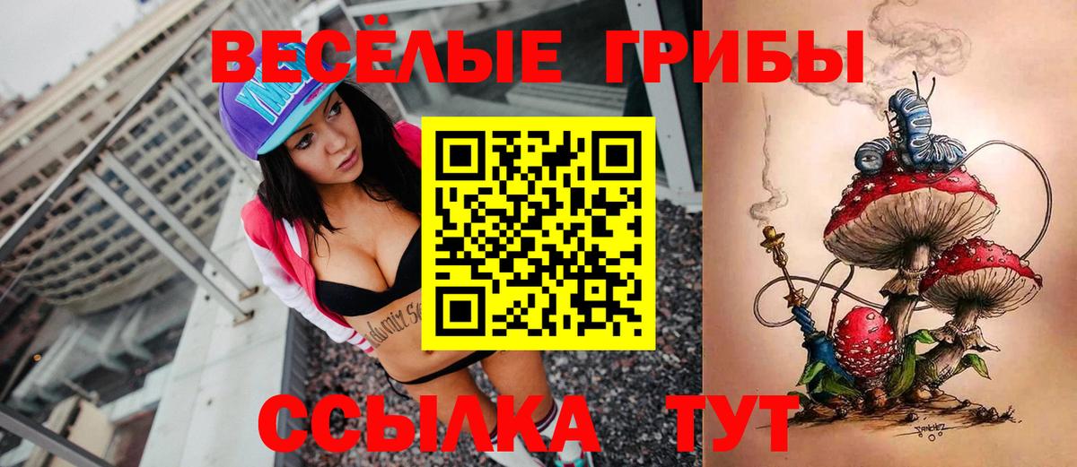 Корсаков  Псилоцибиновые грибы мицелий  купить  цена  Галлюциногенные грибы прущие грибы  Вход с VPN 